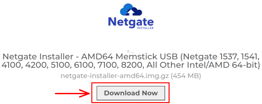 downloading netgate installer